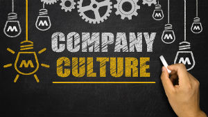 Understanding the Company's culture (in detail)