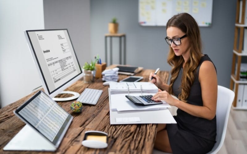 Environmental Accountants: Navigating the Green Economy