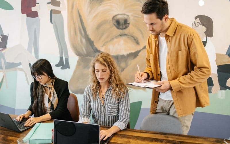 Evaluating Candidate Fit and Performance