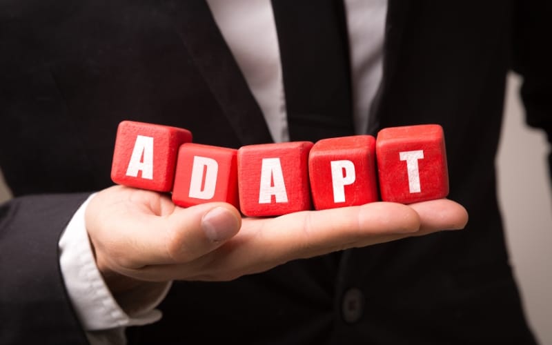 Spot Leadership Potential - Focus on Adaptability and Resilience