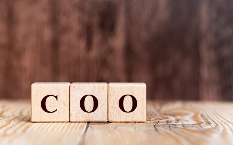 COO: The Operational Expert