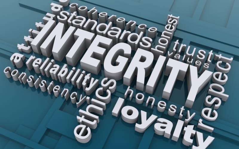 Cultural Integration and Organizational Alignment for U.S. Executives