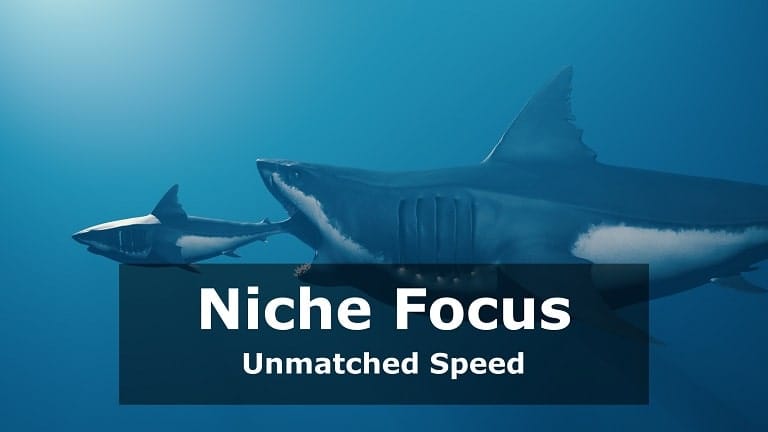 Niche Focus. Unmatched Speed