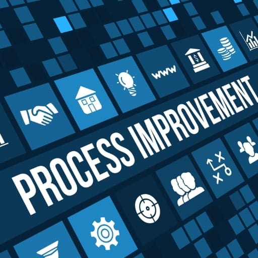 Deep Process Improvement Expertise