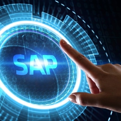 Deep SAP Domain Expertise