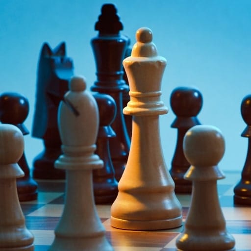Emphasis on Strategic, Cross-Functional Leadership
