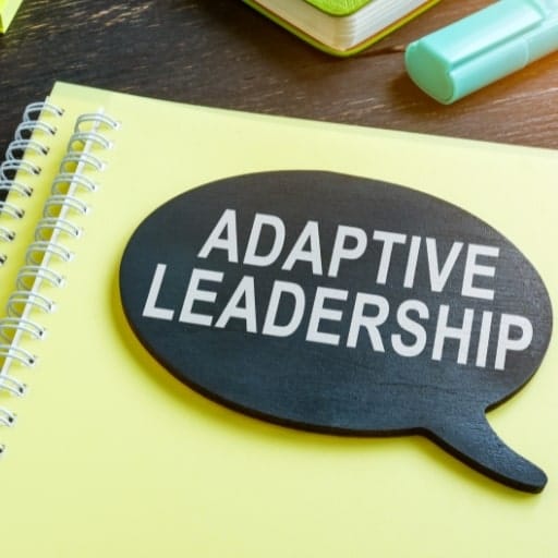 Emphasis on Visionary & Adaptive Leadership