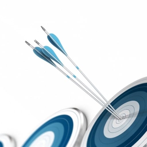 Strategic, Cross-Functional Leadership Focus