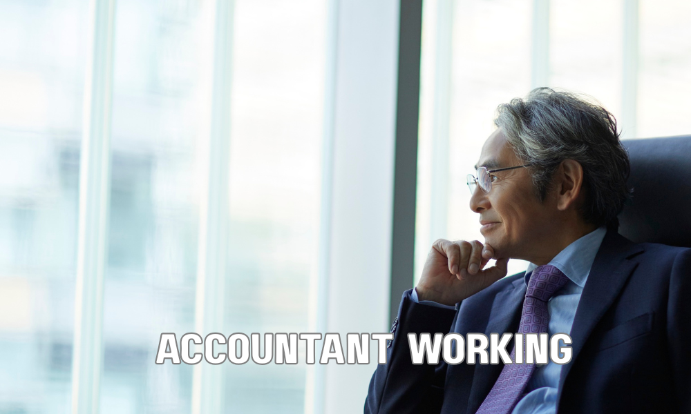 Accountant Working