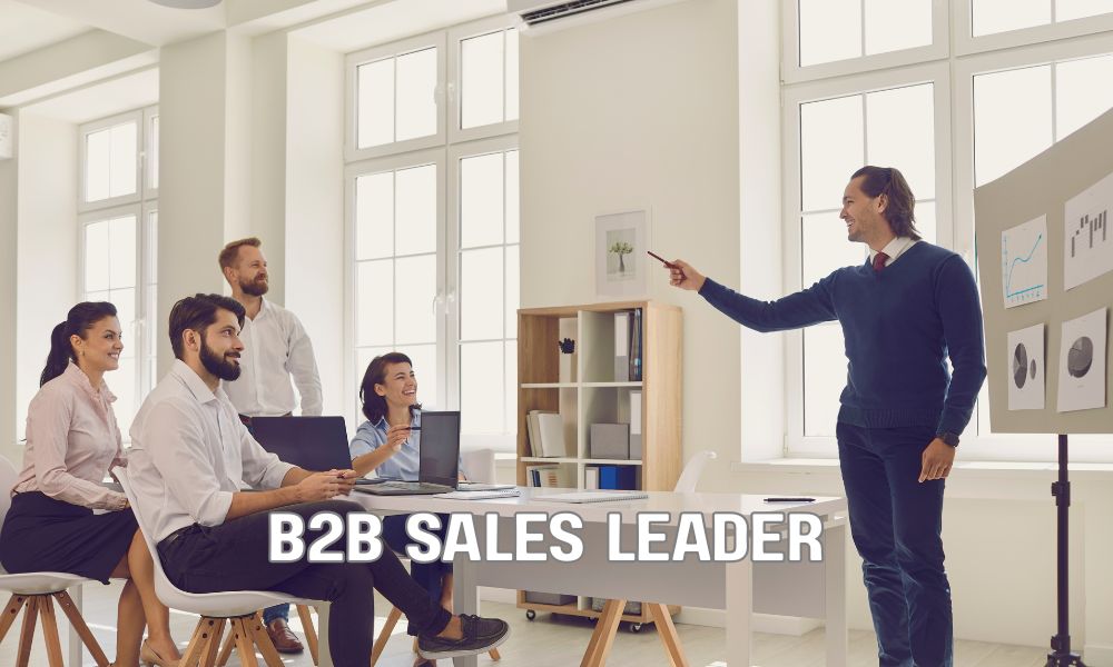 B2B Sales Leader