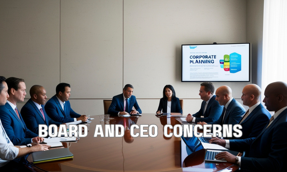 Board And CEO Concerns