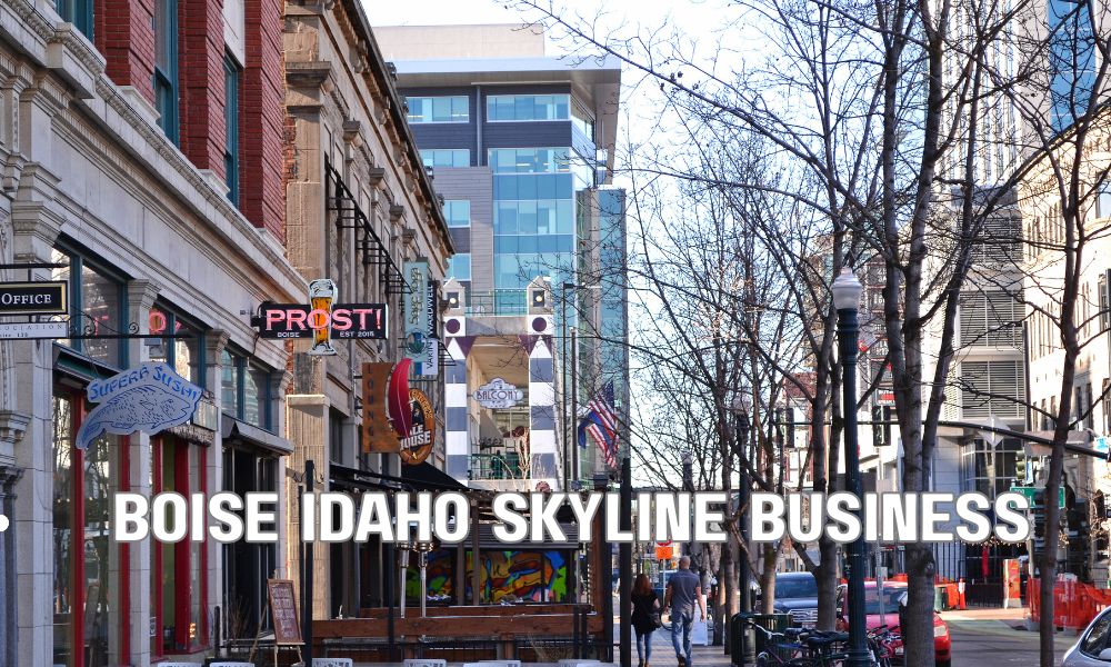 Boise Idaho Skyline Business
