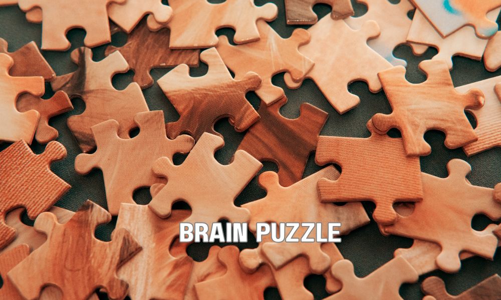 Brain Puzzle