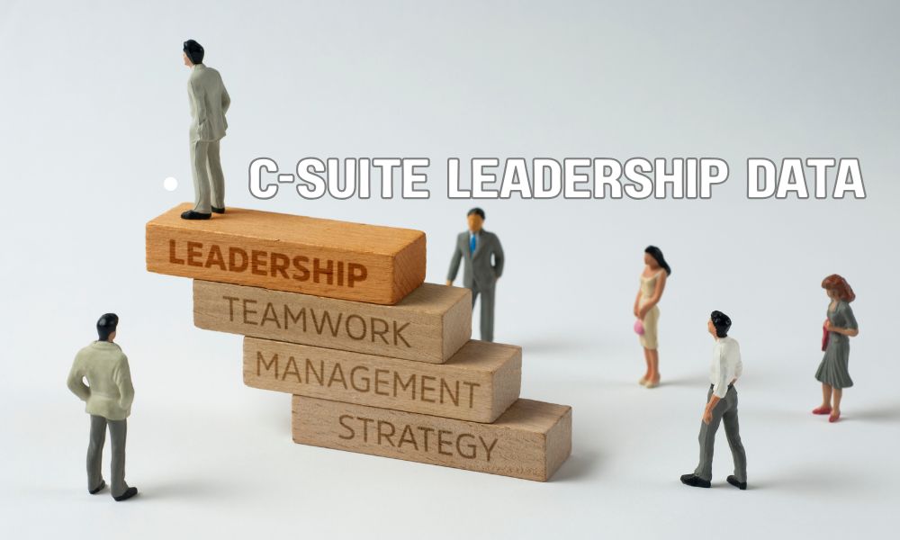C Suite Leadership Data