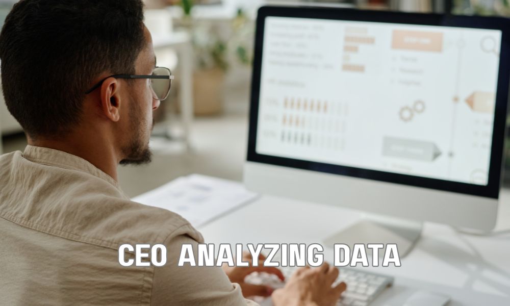 CEO Analyzing Data