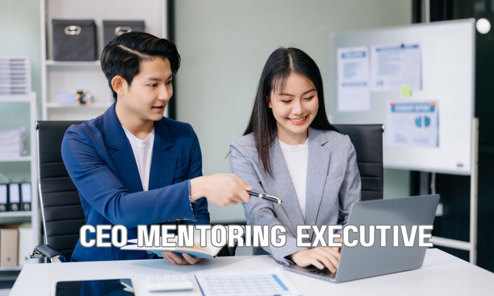 CEO Mentoring Executive