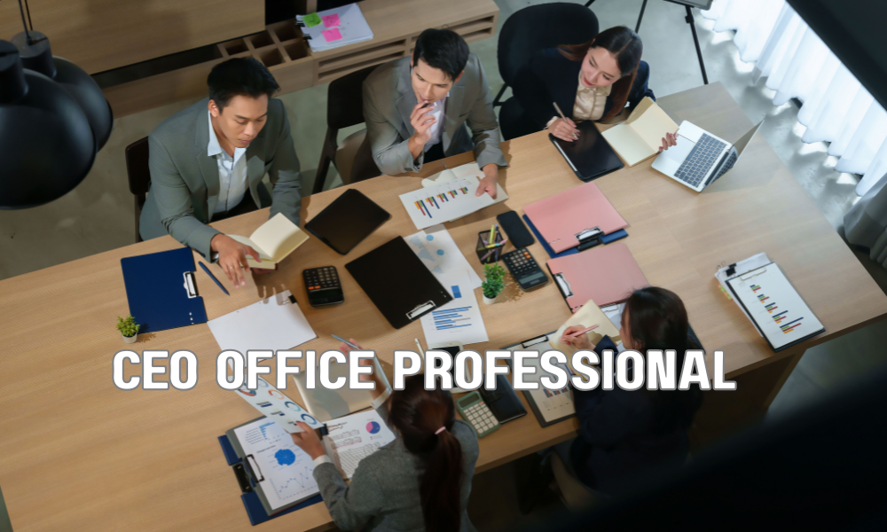 CEO Office Professional