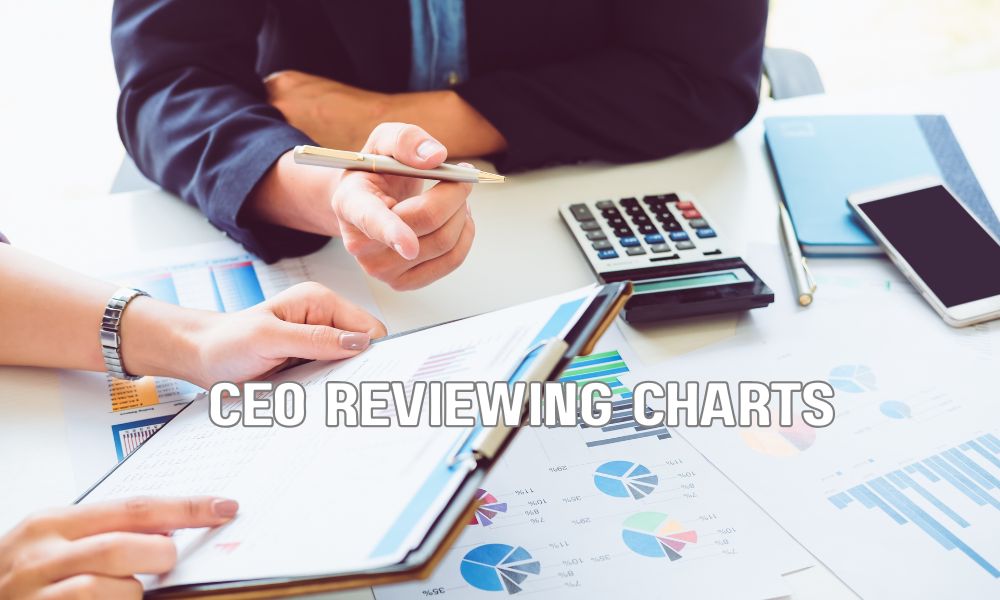 CEO Reviewing Charts