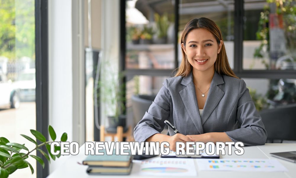 CEO Reviewing Reports
