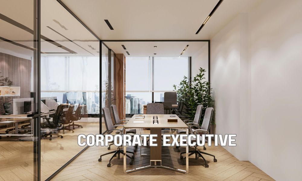 Corporate Executive