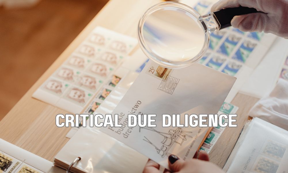 Critical Due Diligence