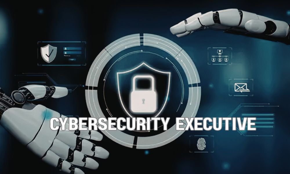 Cybersecurity Executive