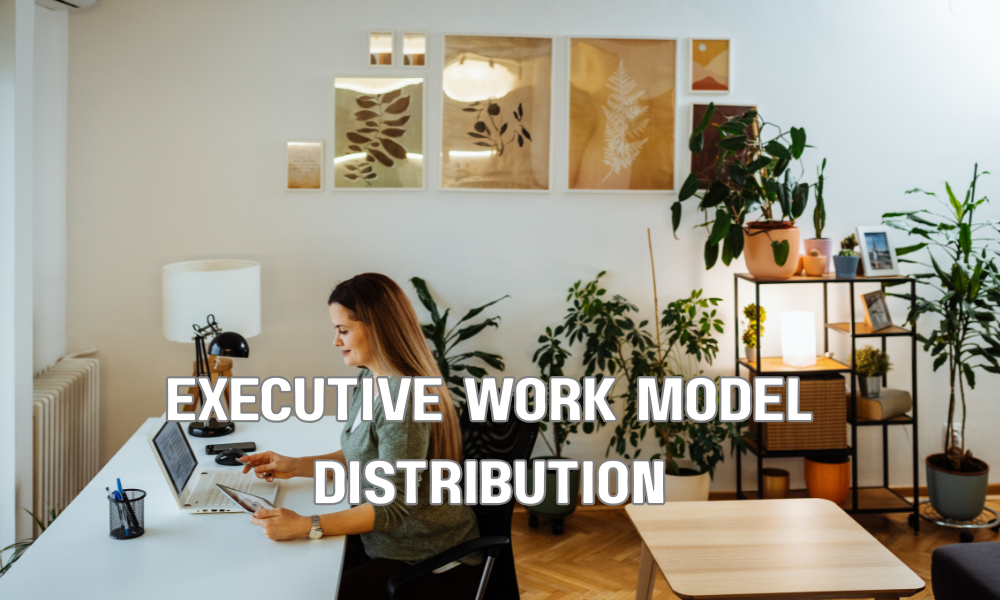 Executive Work Model Distribution