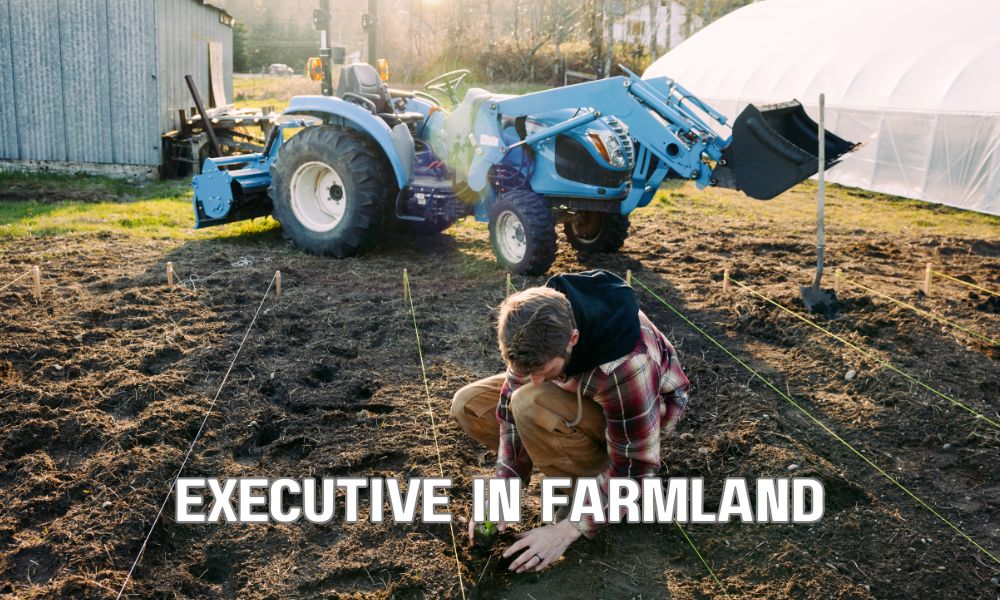 Executive In Farmland
