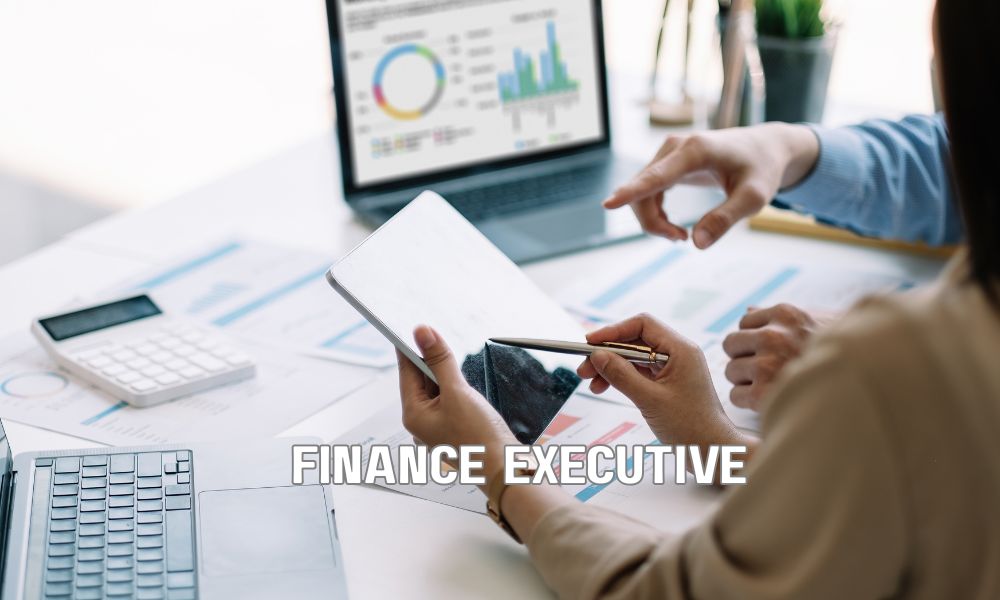 Finance Executive 2