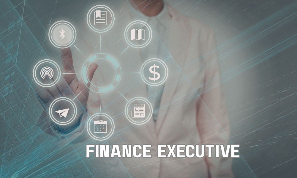 Finance Executive