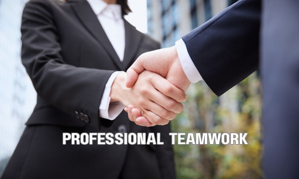 Professional Teamwork