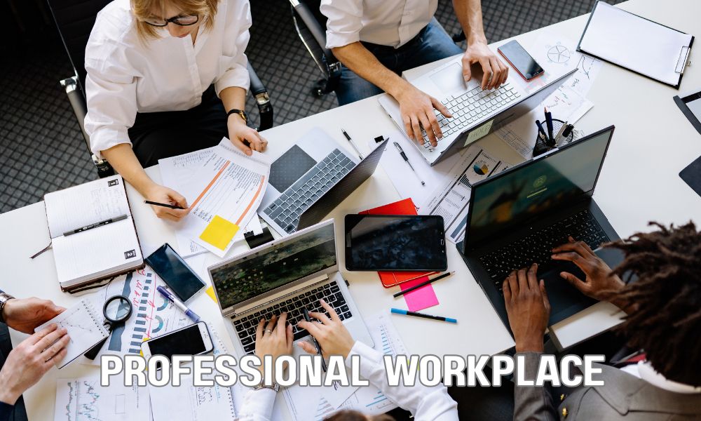 Professional Workplace