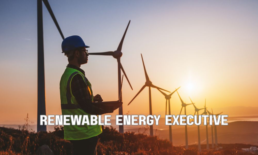 Renewable Energy Executive