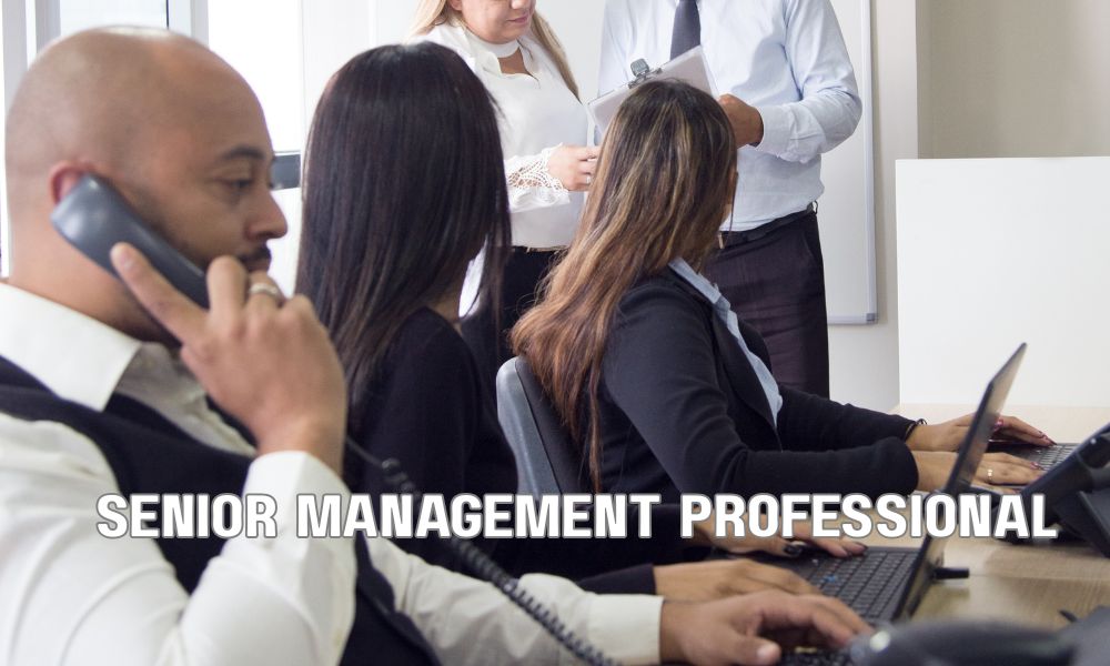 Senior Management Professional