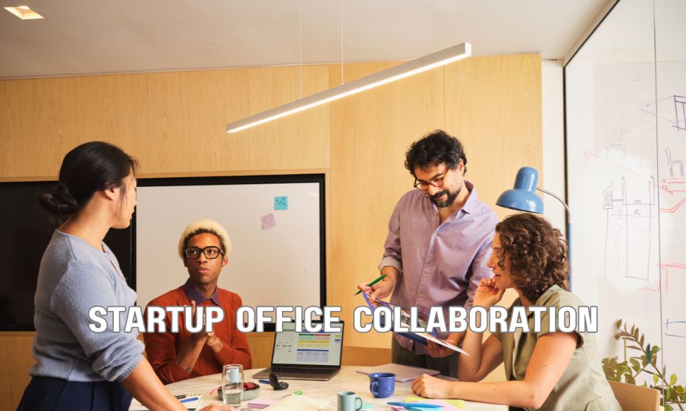 Startup Office Collaboration