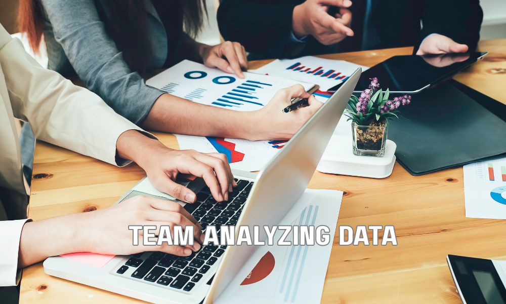 Team Analyzing Data