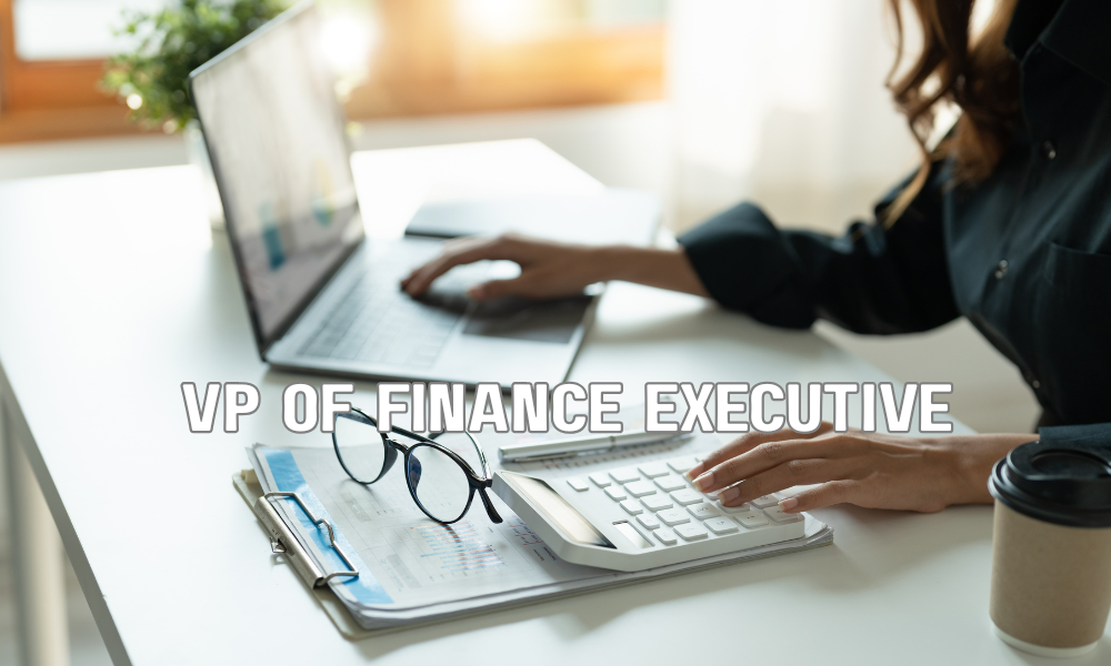 VP Of Finance Executive