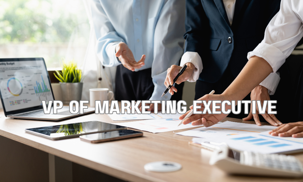 VP Of Marketing Executive