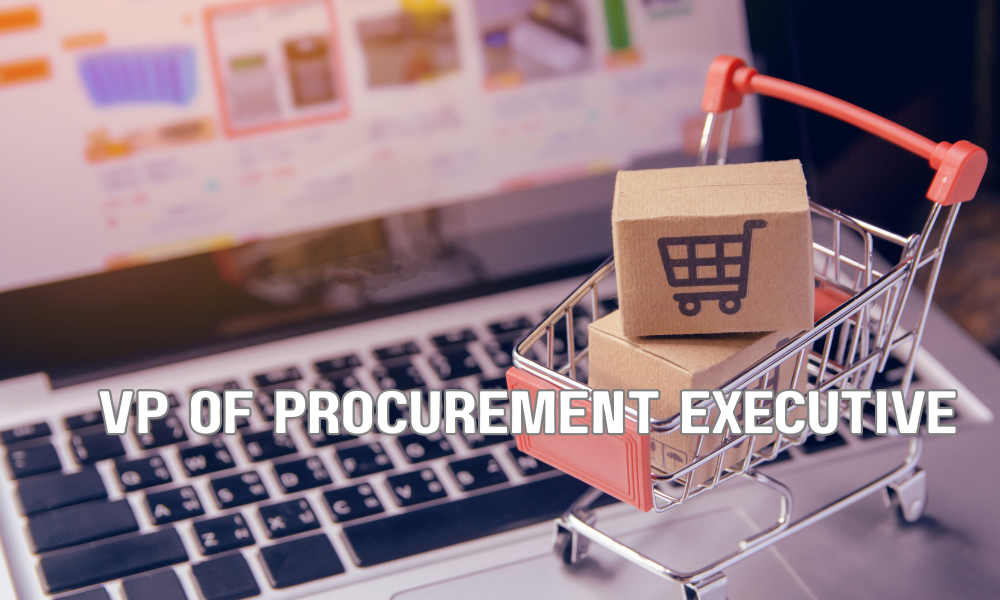 VP Of Procurement Executive