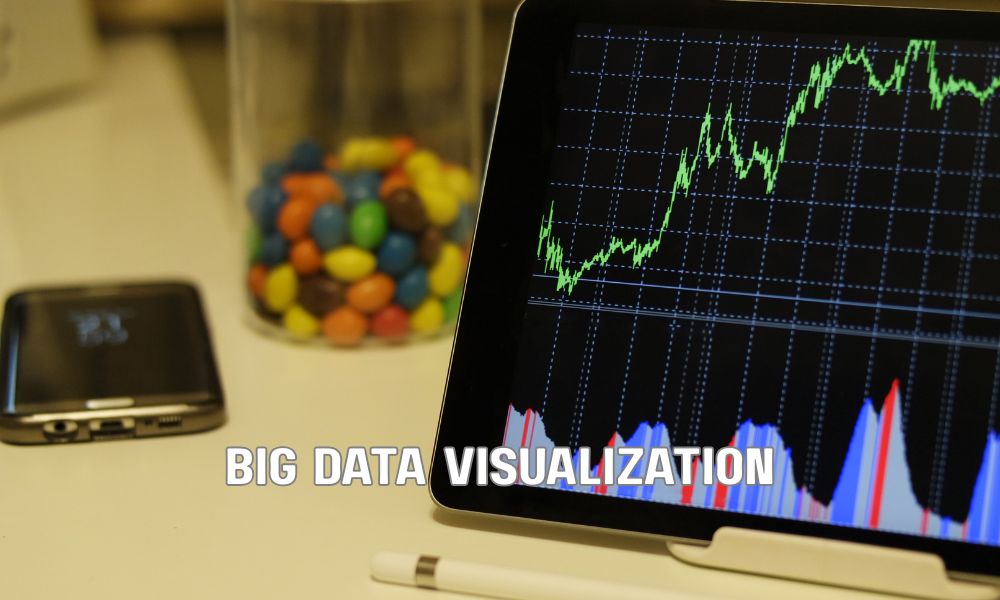 Big Data Visualization
