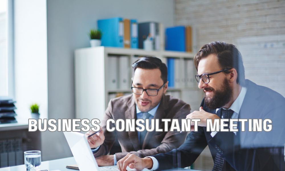 Business Consultant Meeting