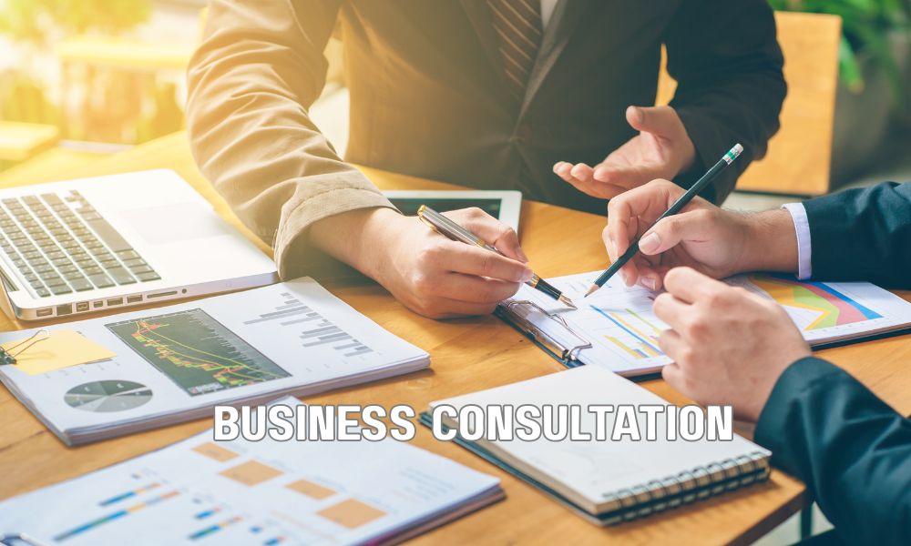 Business Consultation