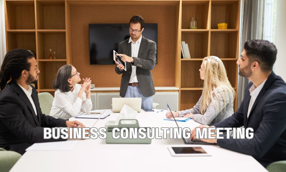 Business Consulting Meeting