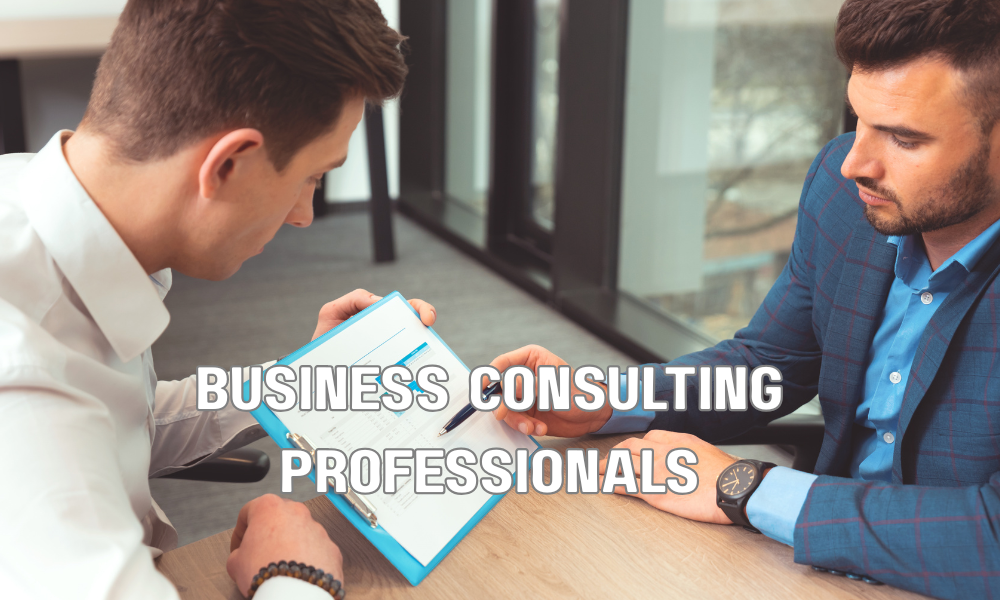 Business Consulting Professionals