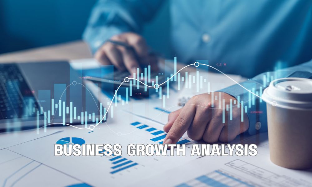 Business Growth Analysis