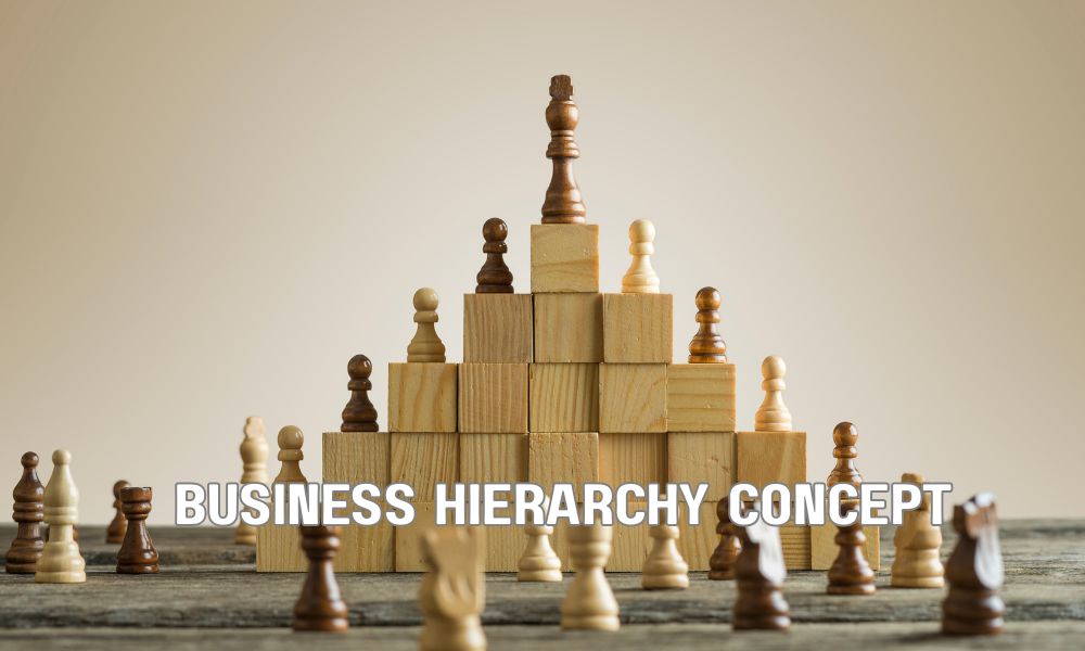 Business Hierarchy Concept