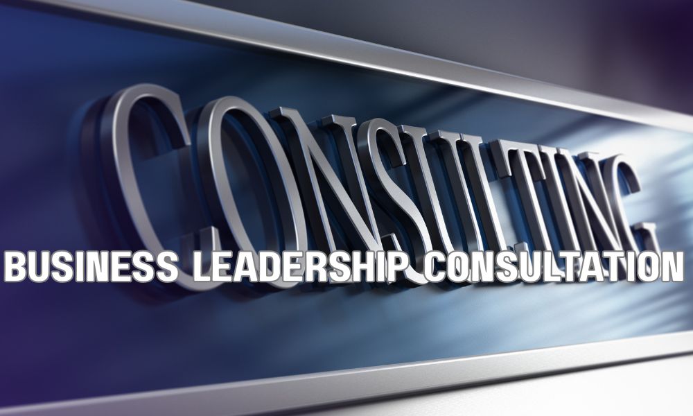 Executive search advisors providing strategic guidance to a corporate board during a CEO leadership crisis.