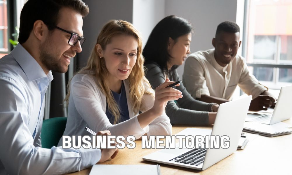 Business Mentoring