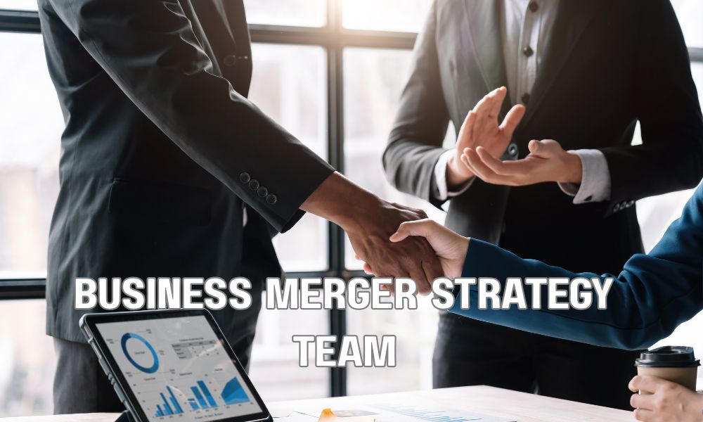 Business Merger Strategy Team