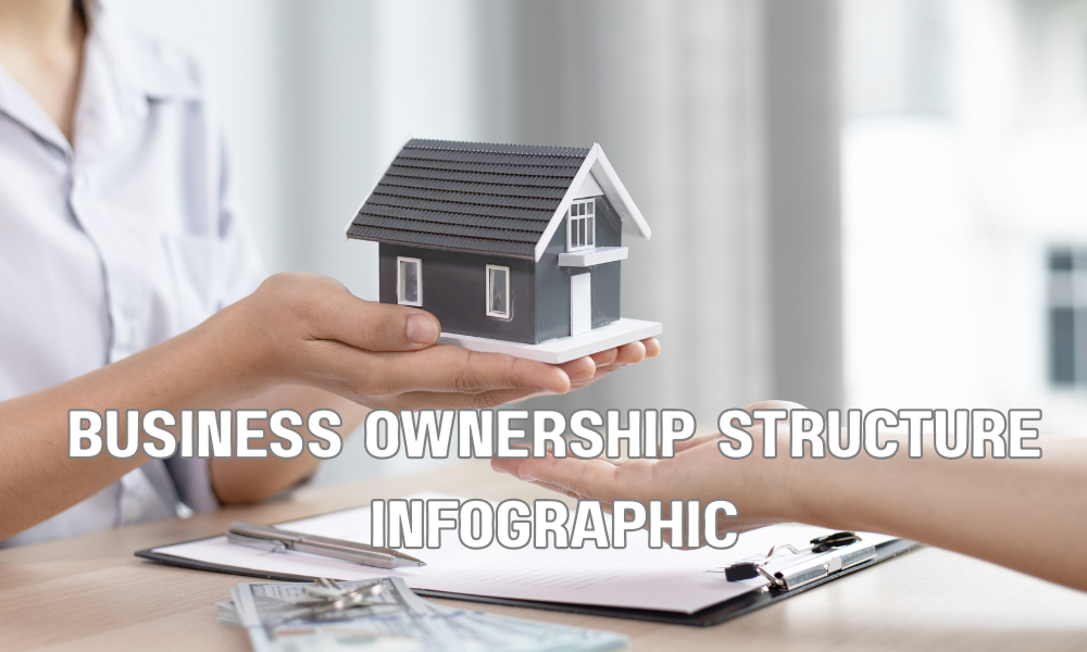 Business Ownership Structure Infographic